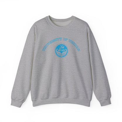 Tehran University Unisex Sweatshirt