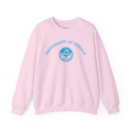 Tehran University Unisex Sweatshirt