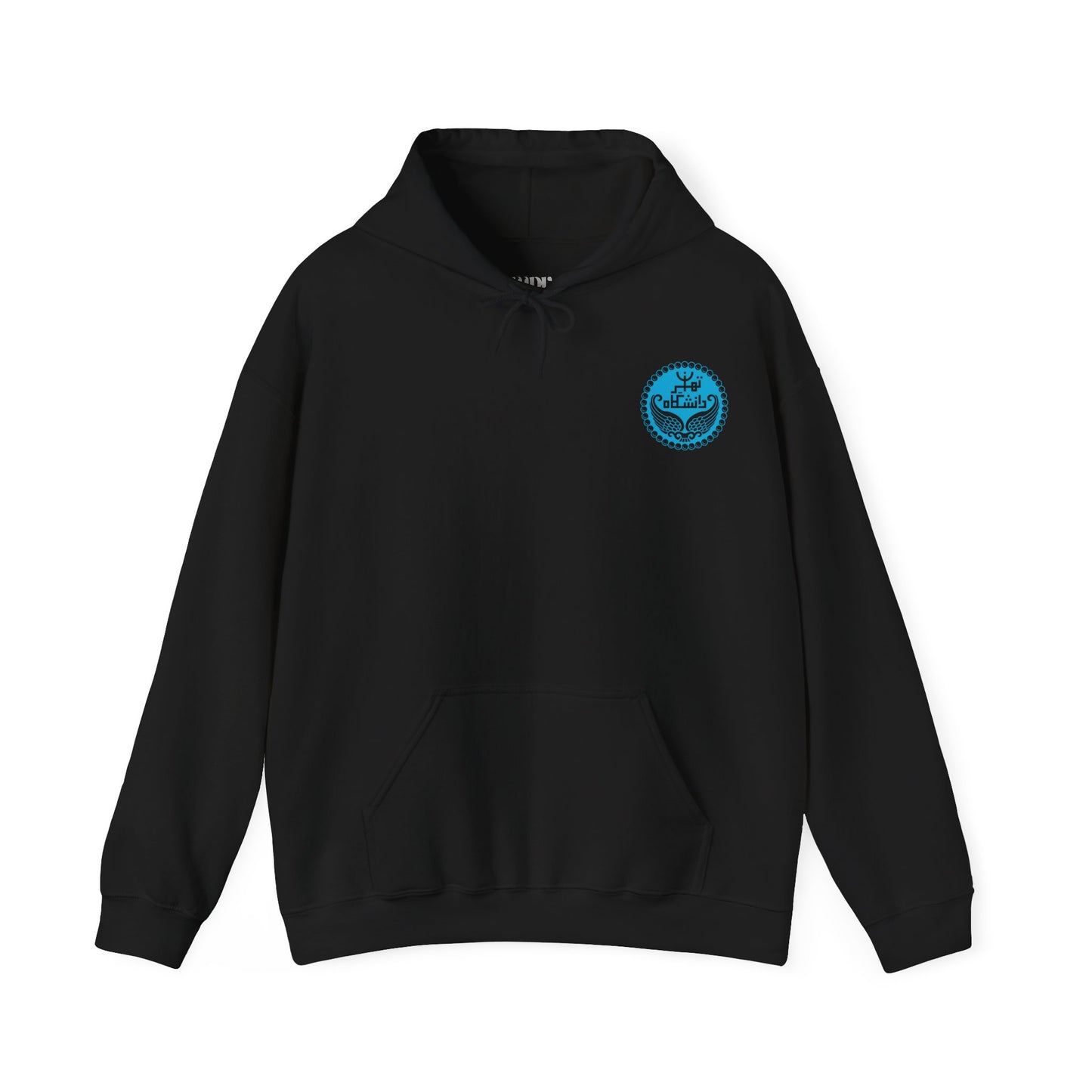 Tehran University Hoodie